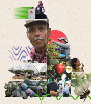 16º Congreso Internacional Aneberries